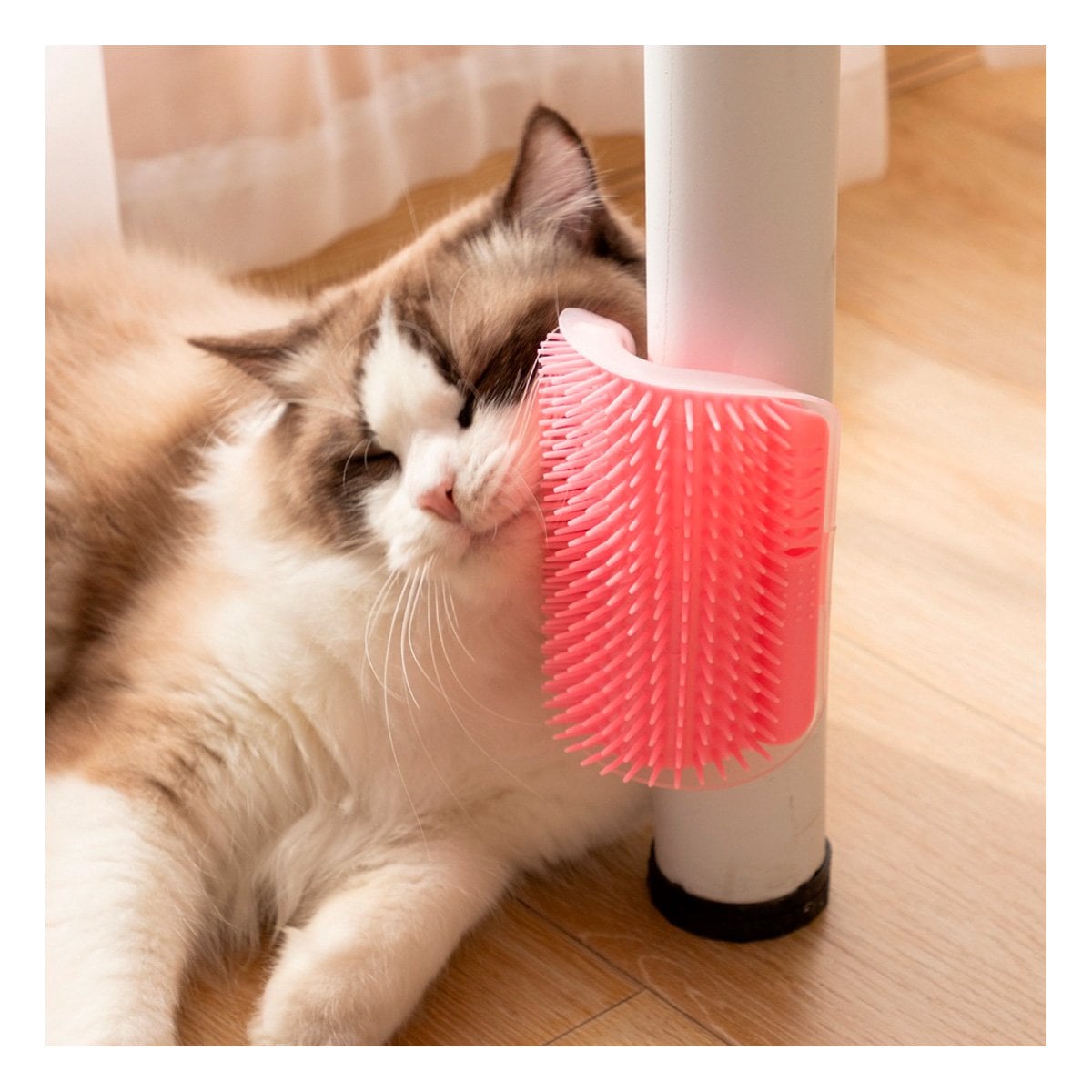 PACK2 ACCESORIO DE FRICCION ROSADA MAS ESTIMULO PARA UN FELINO DE GRAN CLASE Y+REGALO STICKER - 5