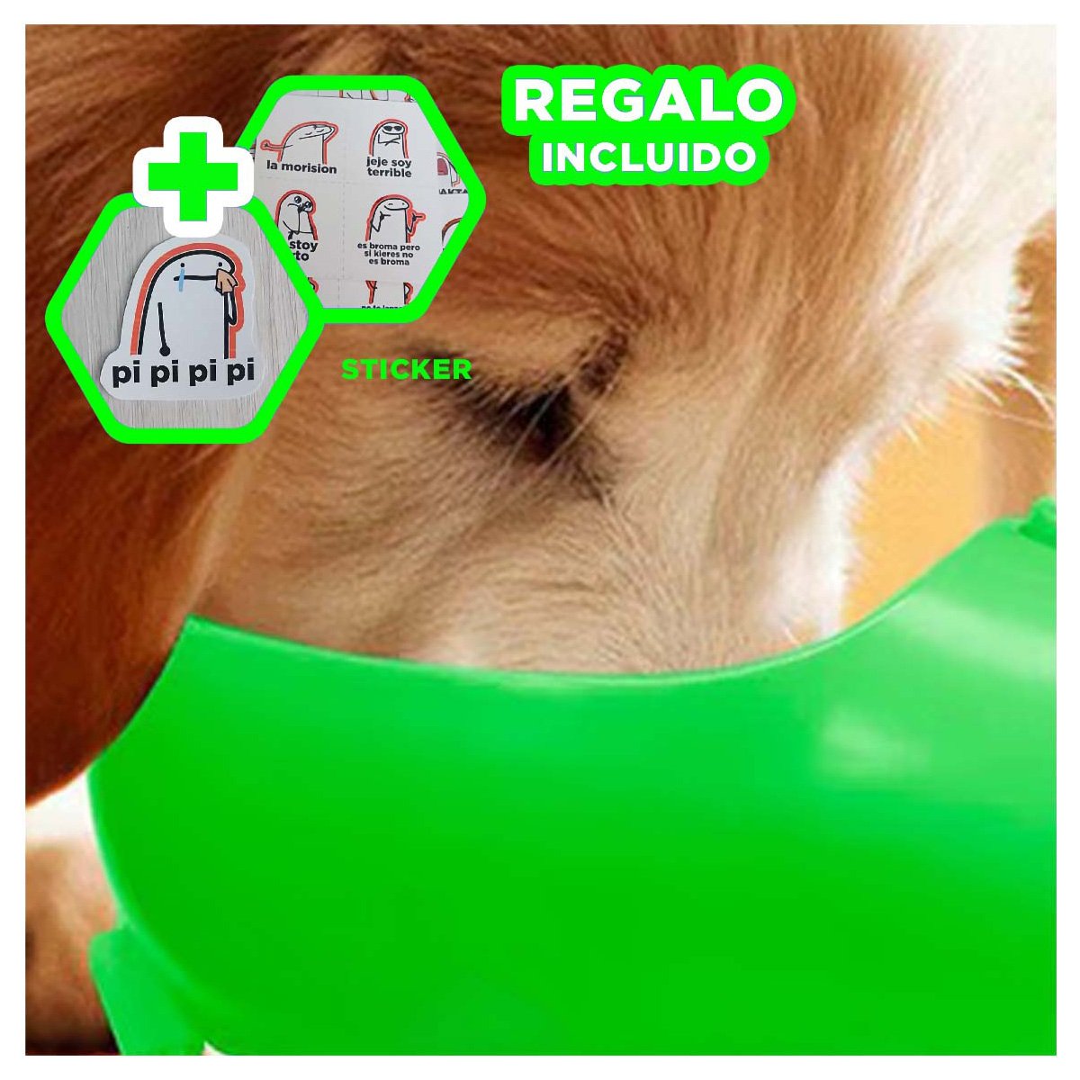 CONTENEDOR DE VIAJE 4 EN 1 VERDE GRANDE CON MUCHA GUIA PARA SU RUTINA Y+REGALO STICKER - 1
