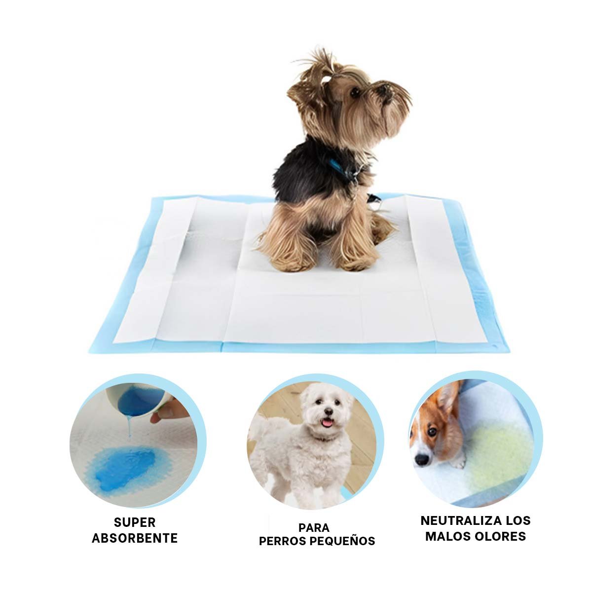 PAÑAL DE PISO PET TALLA S CELESTE MUY LINDO PARA COLOCAR EN SU SALA DE ESTAR Y+LIGAS REGALO - 3