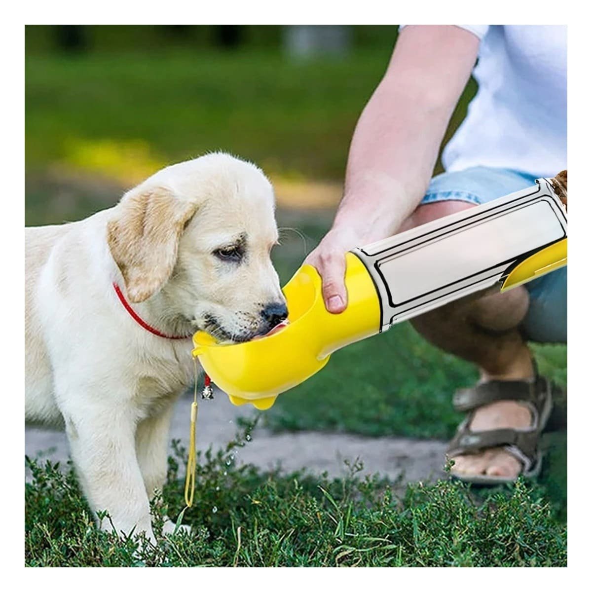 PACK4 ACCESORIO MULTIFUNCION 4 EN 1 AMARILLO GRANDE PARA SUS HIJOS Y SUS PERROS - 2