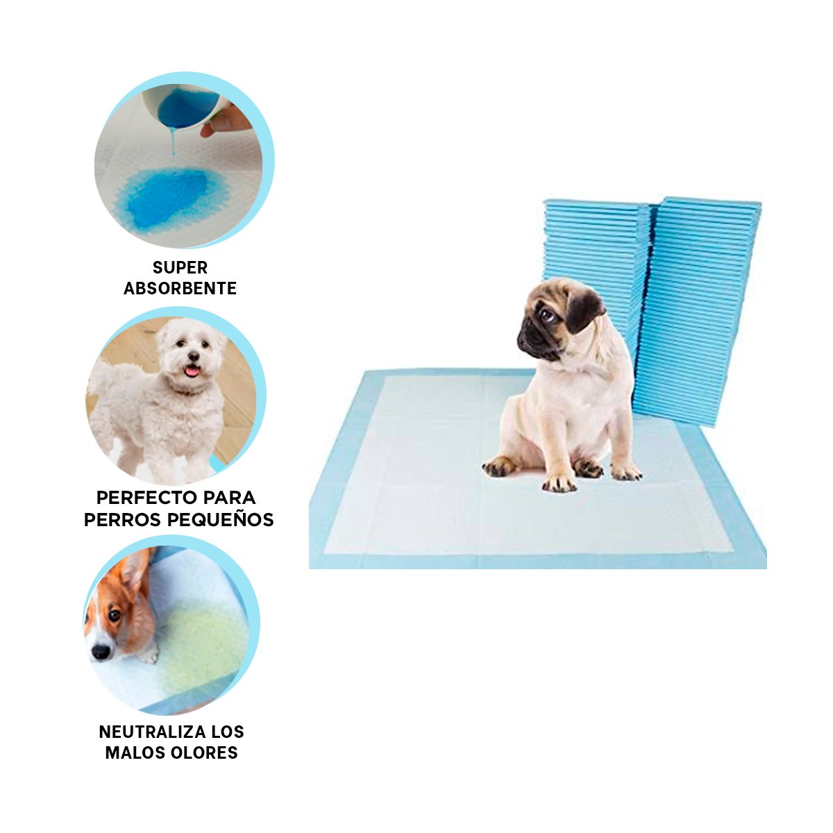 PAÑAL DE PISO PET TALLA S CELESTE DE MODELO FINO PARA UN HOGAR MUY ELEGANTE - 3