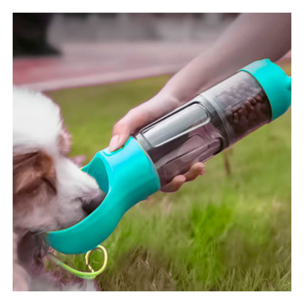 BEBEDERO PORTATIL 4 EN 1 CELESTE GRANDE DE MUCHA SALUD PARA SU CANINO Y+PAPEL REGALO - 5
