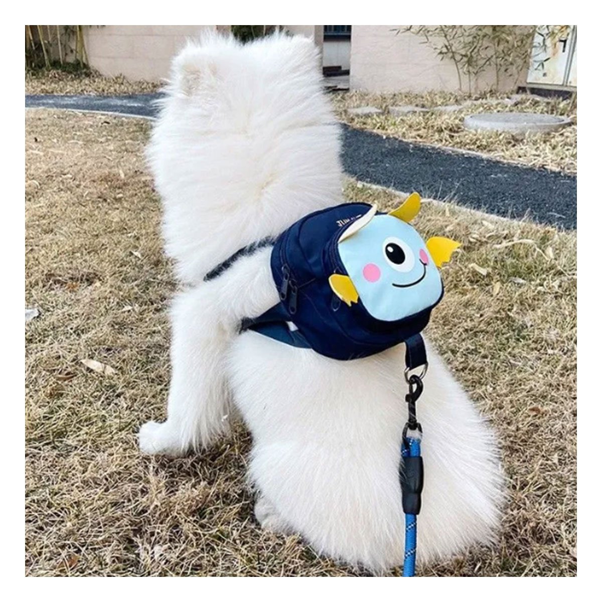 MOCHILA PEQUEÑA PARA MASCOTA COLOR AZUL DE MURCIELAGO MUY LINDO REAL Y+LIGAS REGALO - 2