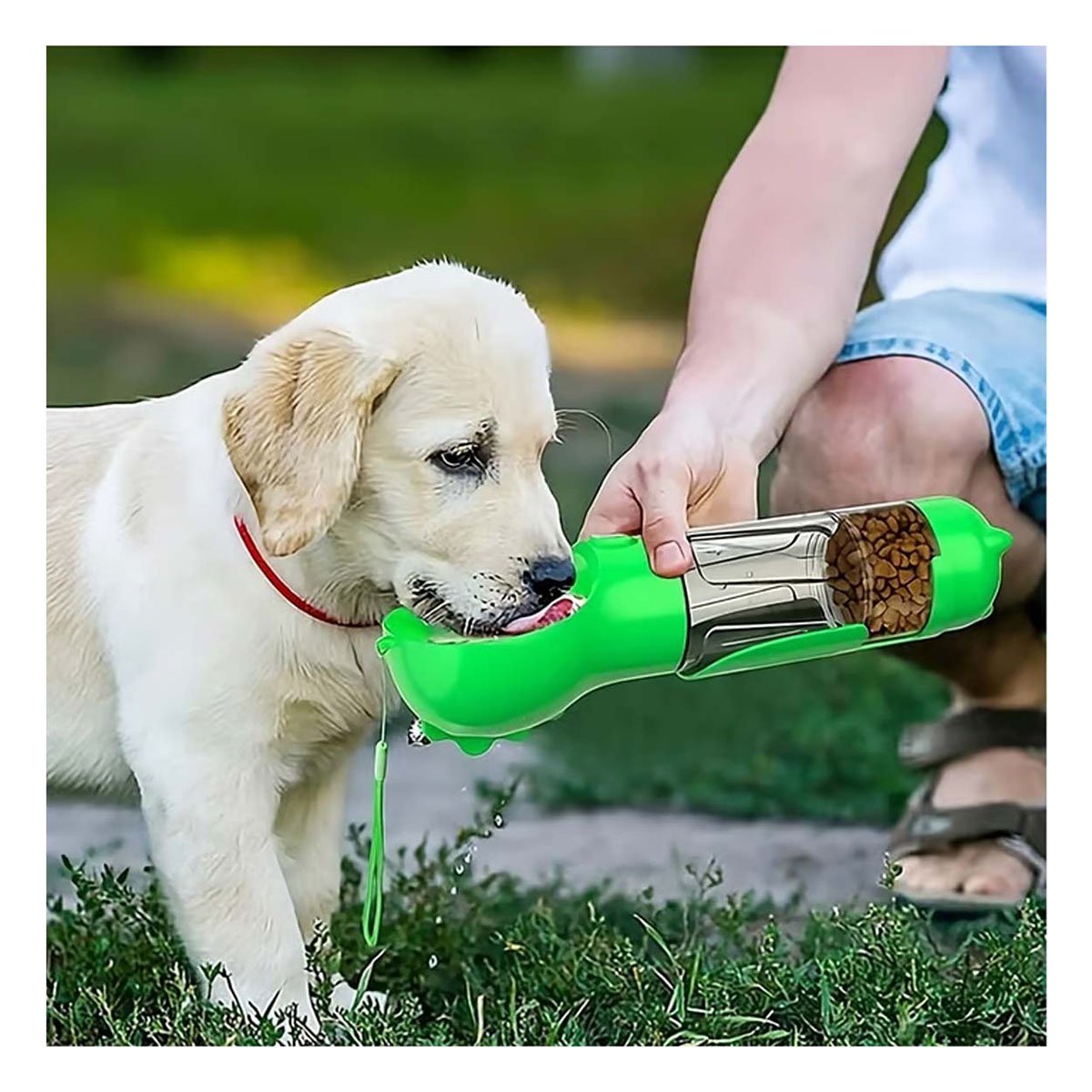 BEBEDERO PORTATIL 4 EN 1 VERDE GRANDE DE MUCHA SALUD PARA SU CANINO Y+PAPEL REGALO - 2