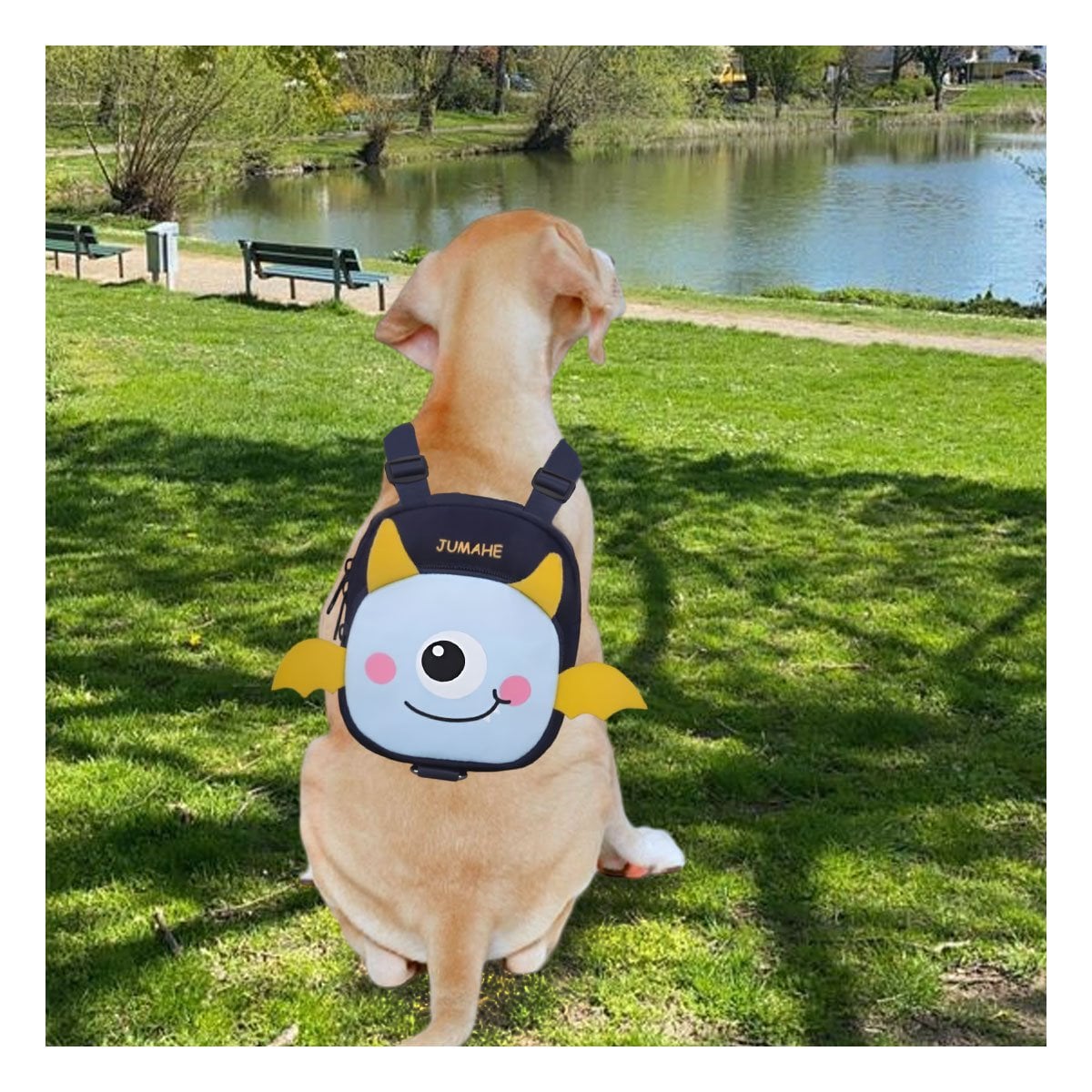 ARNES DE ESPALDA AZUL DE MURCIELAGO DE MUCHA SALUD PARA SU CANINO Y+PAPEL REGALO - 5