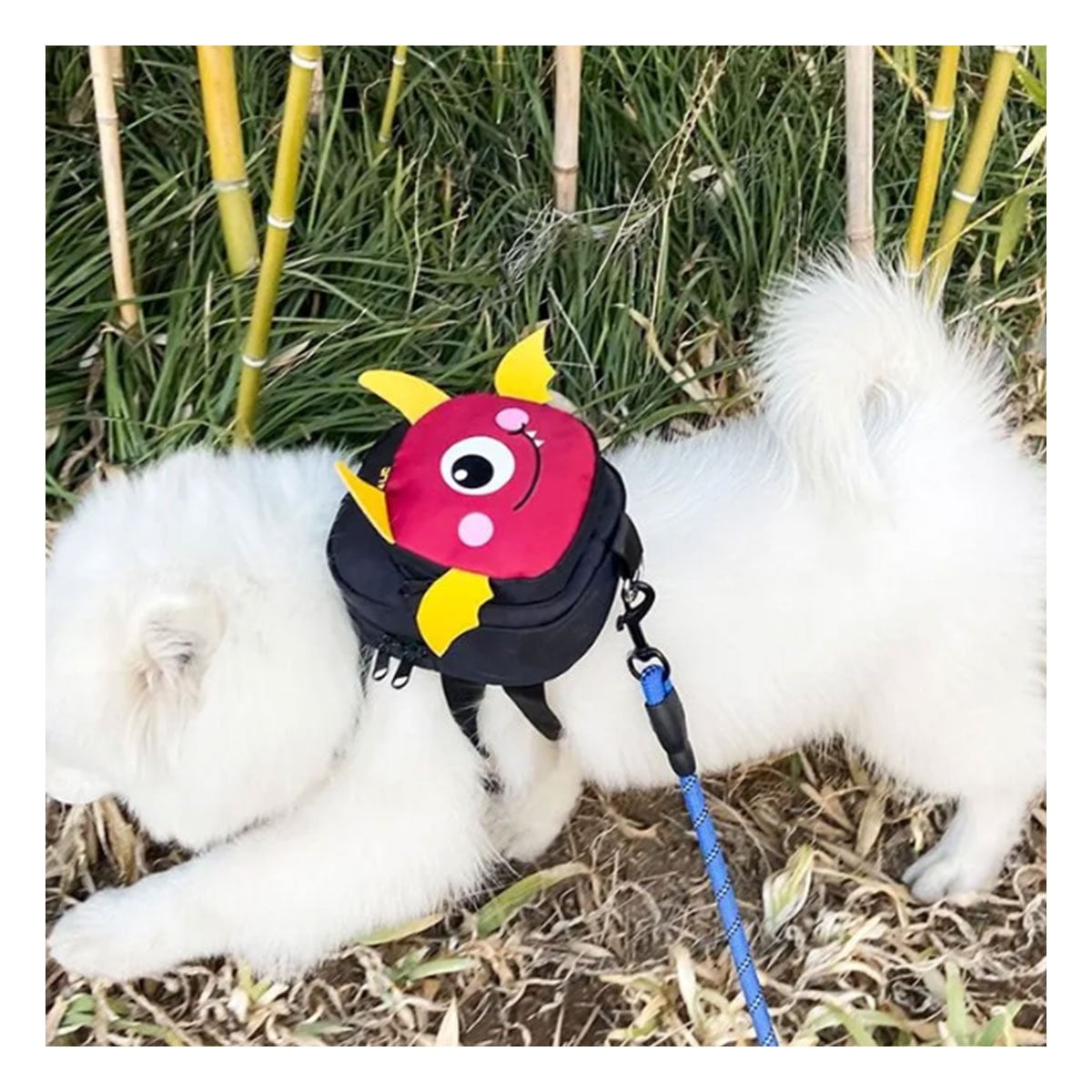 ARNES DE ESPALDA NEGRO DE MURCIELAGO DE MUCHA SALUD PARA SU CANINO Y+PAPEL REGALO - 2
