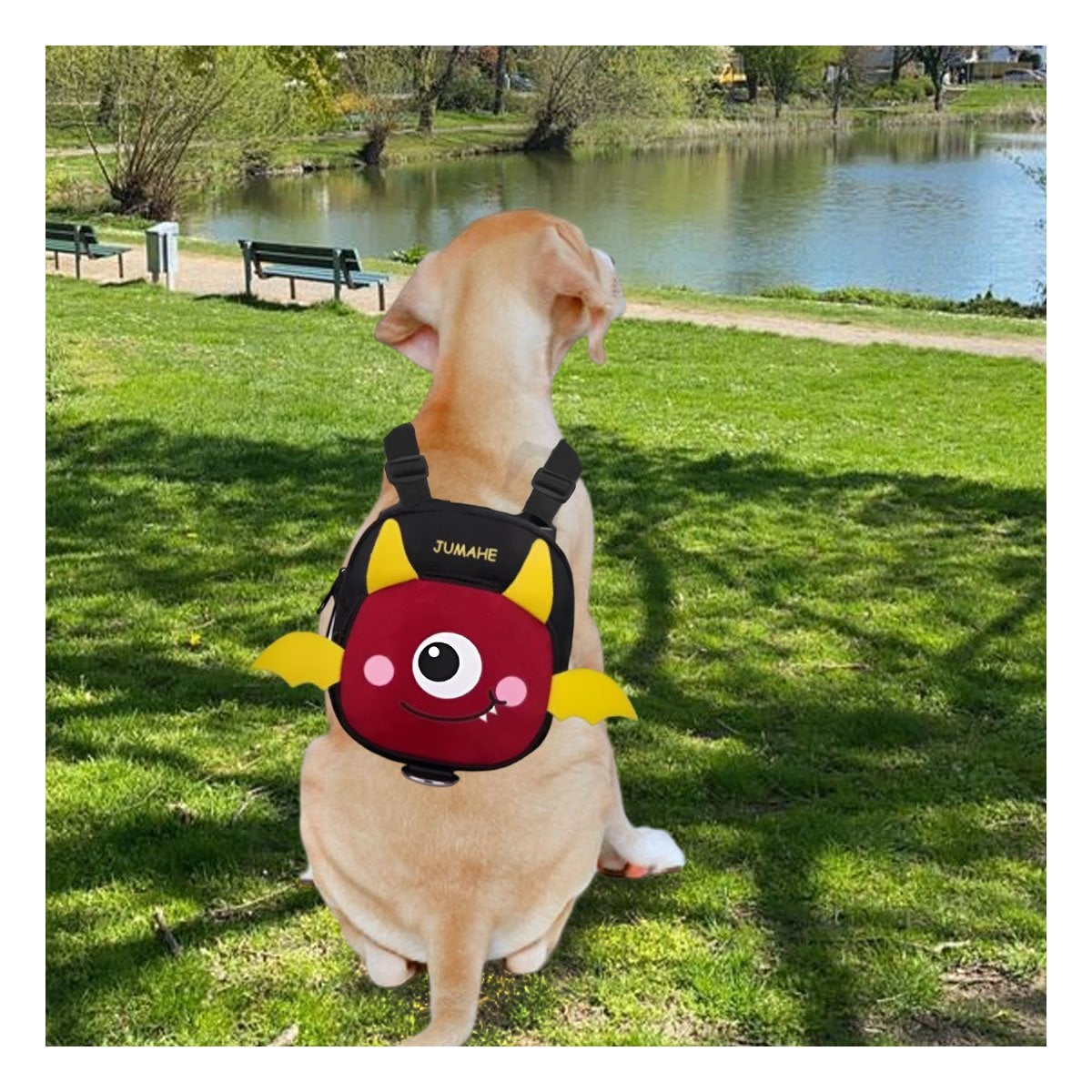 ARNES DE ESPALDA NEGRO DE MURCIELAGO DE MUCHA SALUD PARA SU CANINO Y+PAPEL REGALO - 5