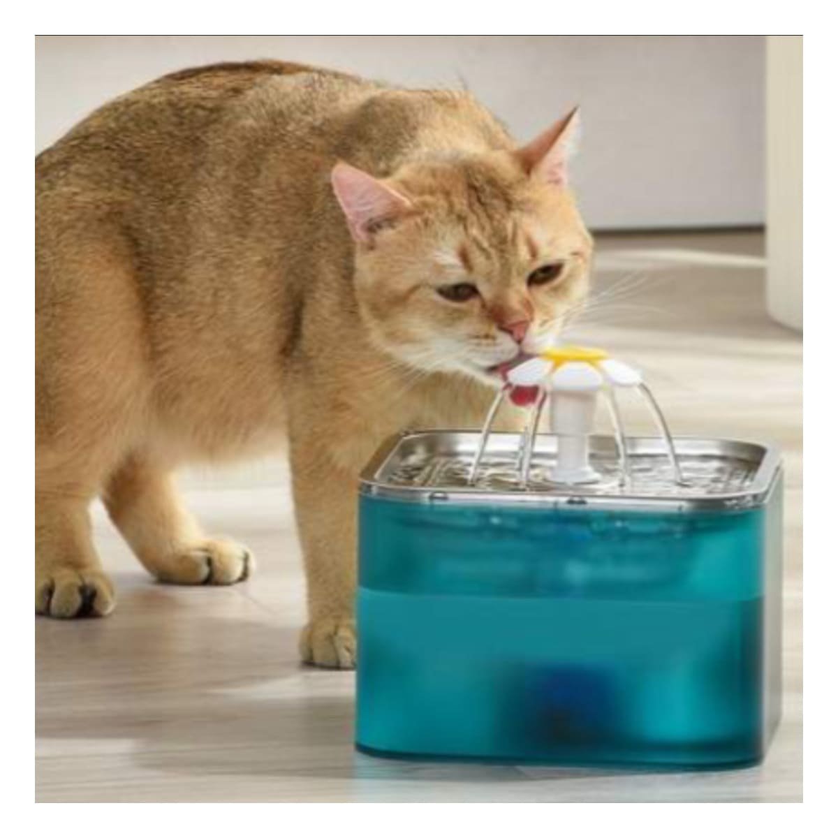 PACK4 SISTEMA DE AGUA VERDE PARA PERRO Y GATO EN ACERO INOXIDABLE - 2