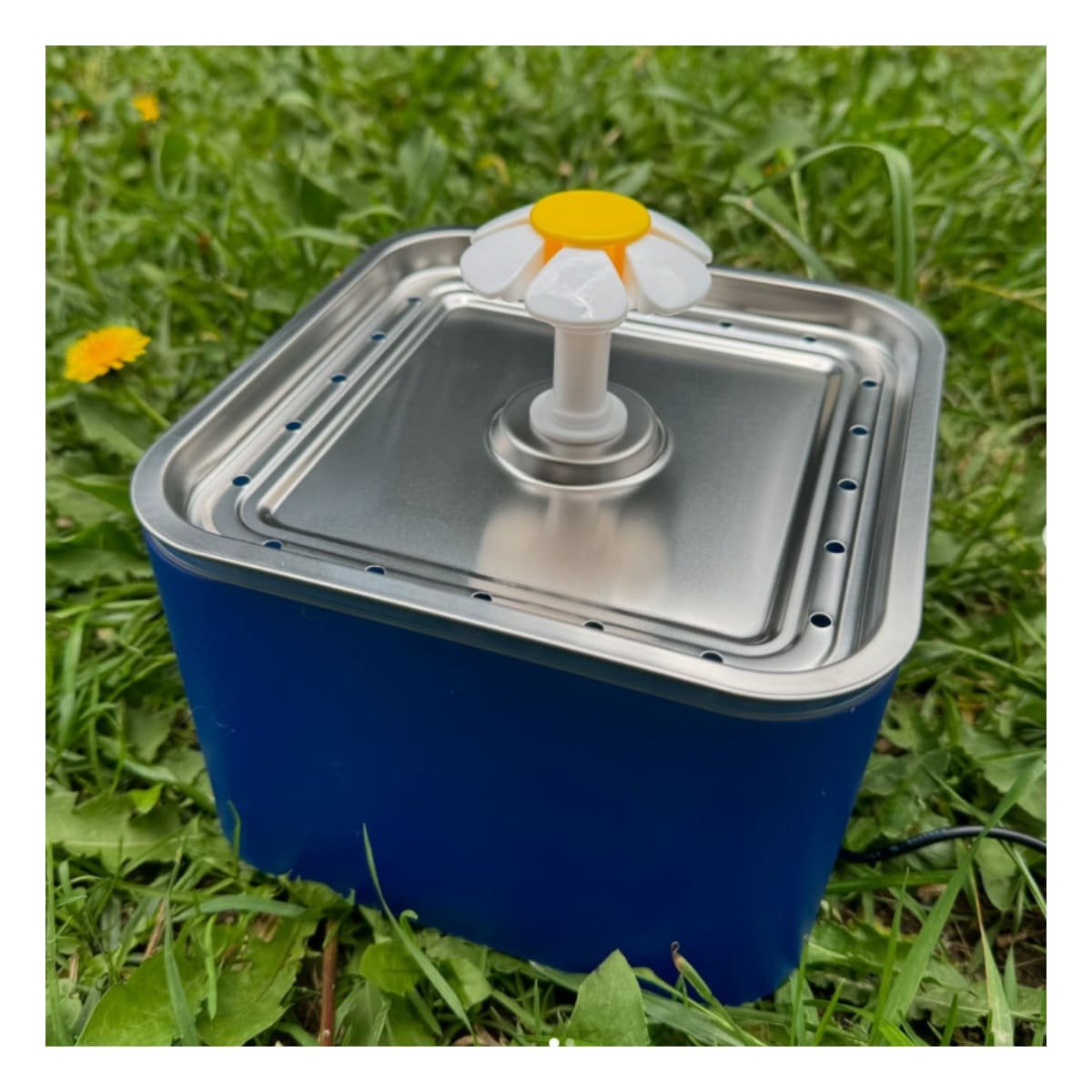 BEBEDERO PARA MASCOTA AZUL EN ACERO INOXIDABLE CUADRADO PET Y+PAPEL REGALO - 3