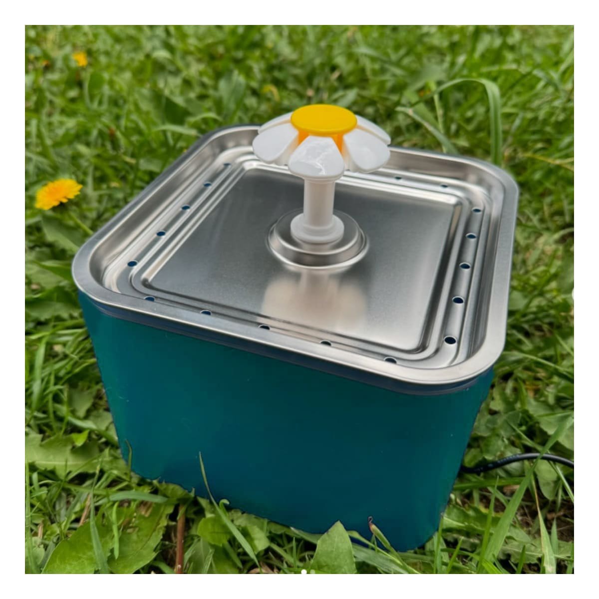 PACK2 BEBEDERO DE AGUA VERDE PARA PERRO Y GATO EN ACERO INOXIDABLE Y+PAPEL REGALO - 5