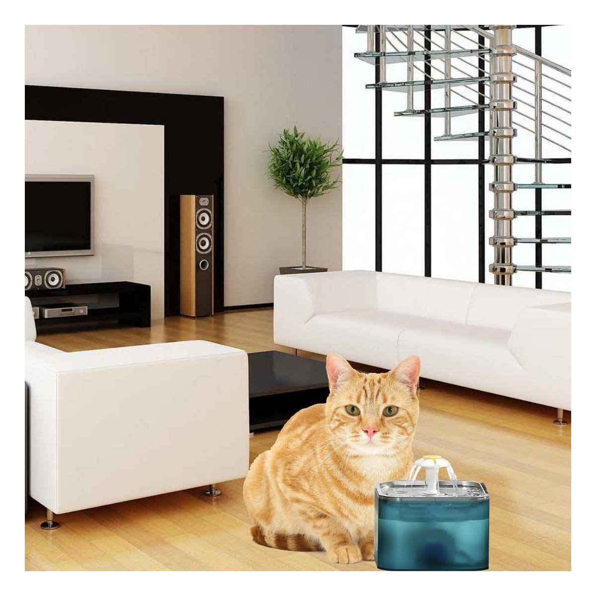 ESTACION PARA MASCOTA VERDE EN ACERO INOXIDABLE CUADRADO PET Y+REGALO STICKER - 5