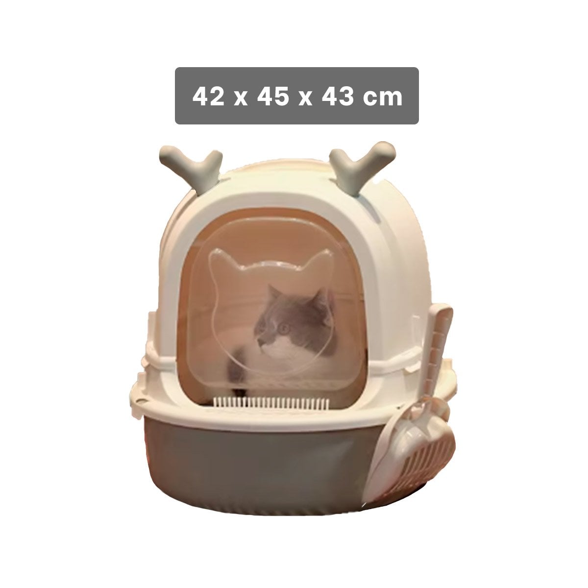 PACK2 CAJA GRANDE PARA GATO RENO 2 EN 1 CON PALA CASA Y+REGALO STICKER - 4