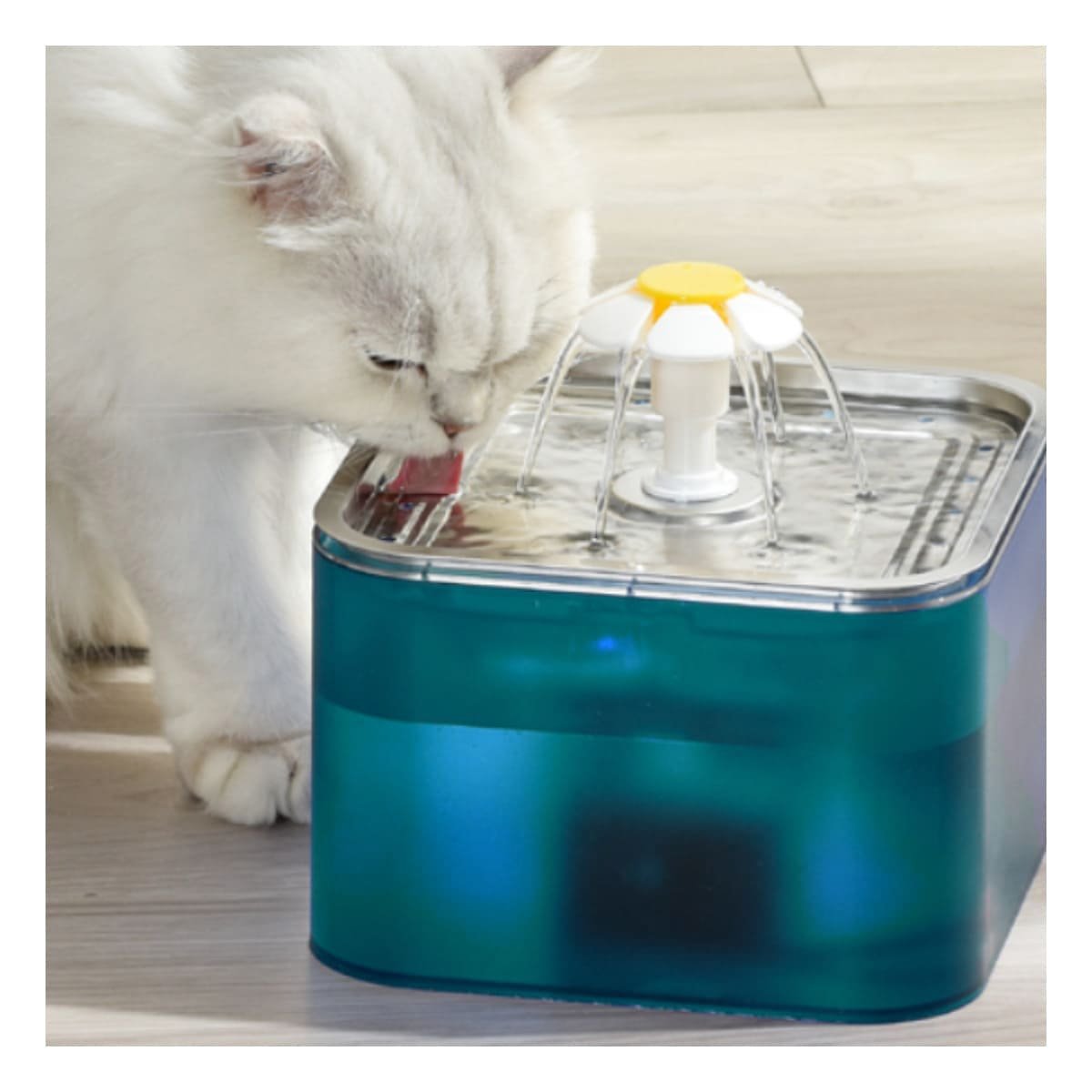 SISTEMA PARA MASCOTA VERDE EN ACERO INOXIDABLE CUADRADO PET Y+LIGAS REGALO - 1