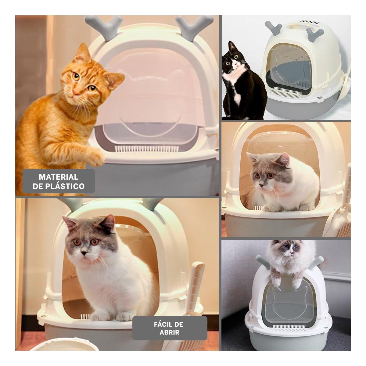 BANO ABIERTO PARA GATO RENO 2 EN 1 CON PALA HOGAR Y+POST IT - 5