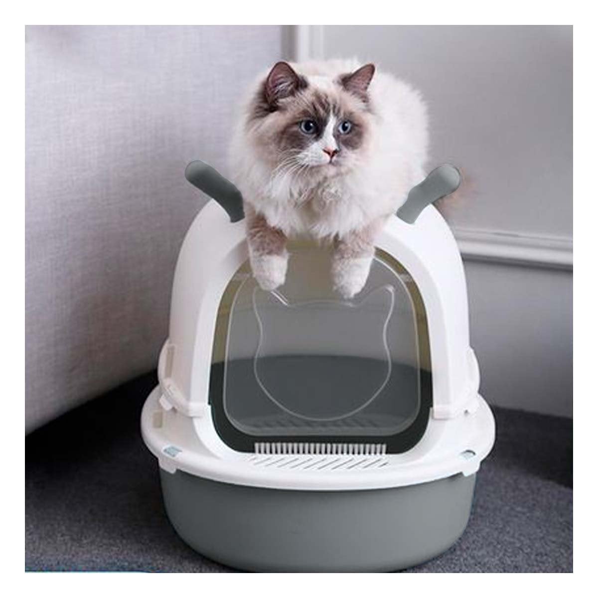 PACK4 BANO GRANDE PARA GATO RENO 2 EN 1 CON PALA CASA Y+PAPEL REGALO - 5