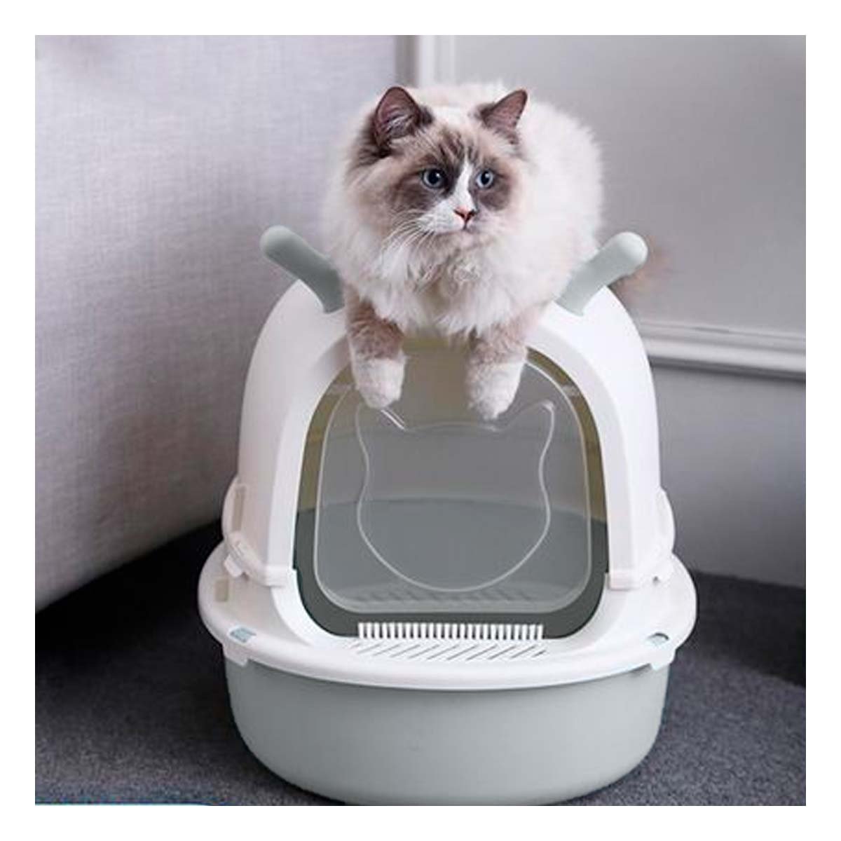 PACK4 SANITARIO GRANDE PARA GATO RENO 2 EN 1 CON PALA CASA Y+REGALO STICKER - 3