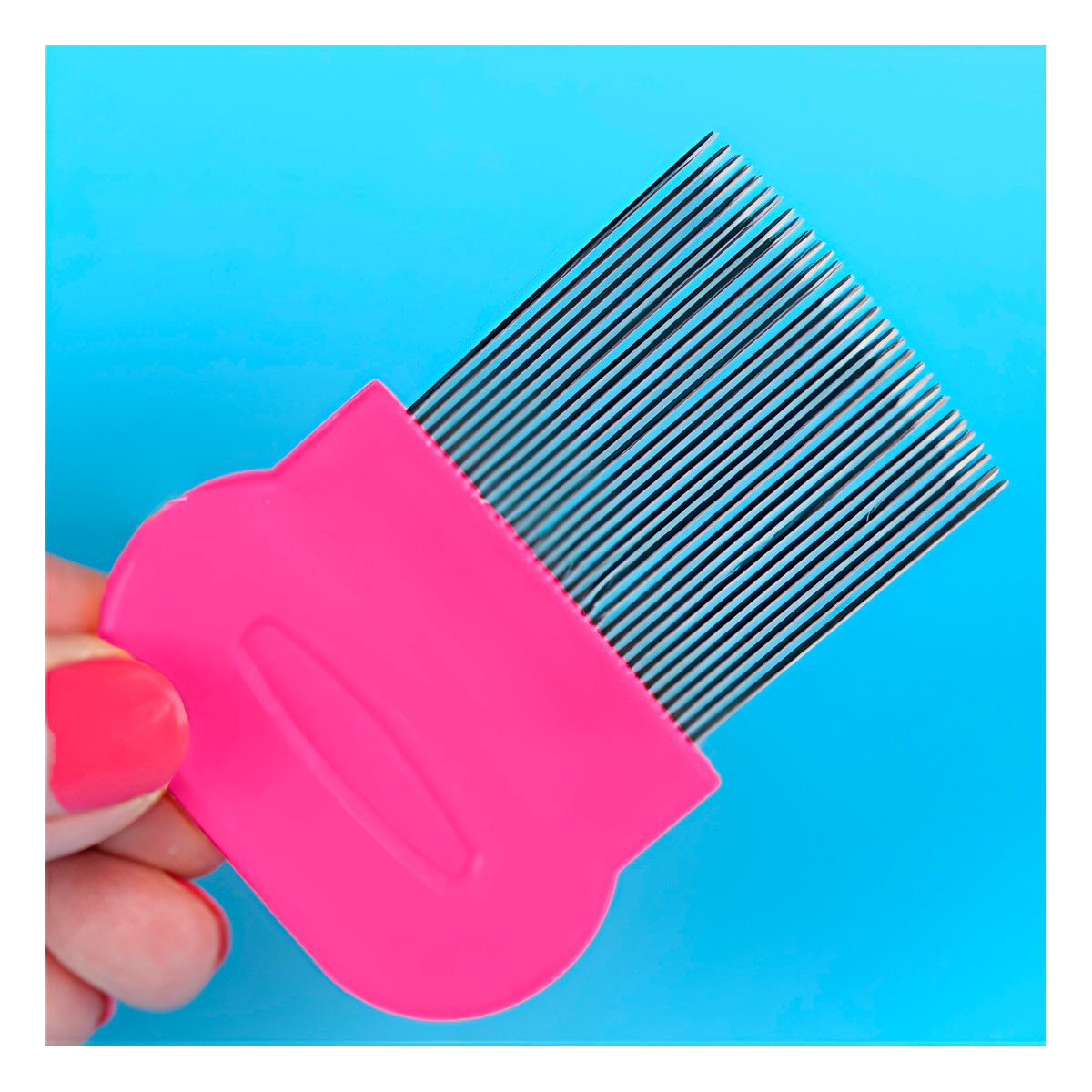 PACK12 PEINETA MANUAL FUCSIA PARA PIOJOS Y LIENDRES SEGURA EN CASA Y+PAPEL REGALO - 3