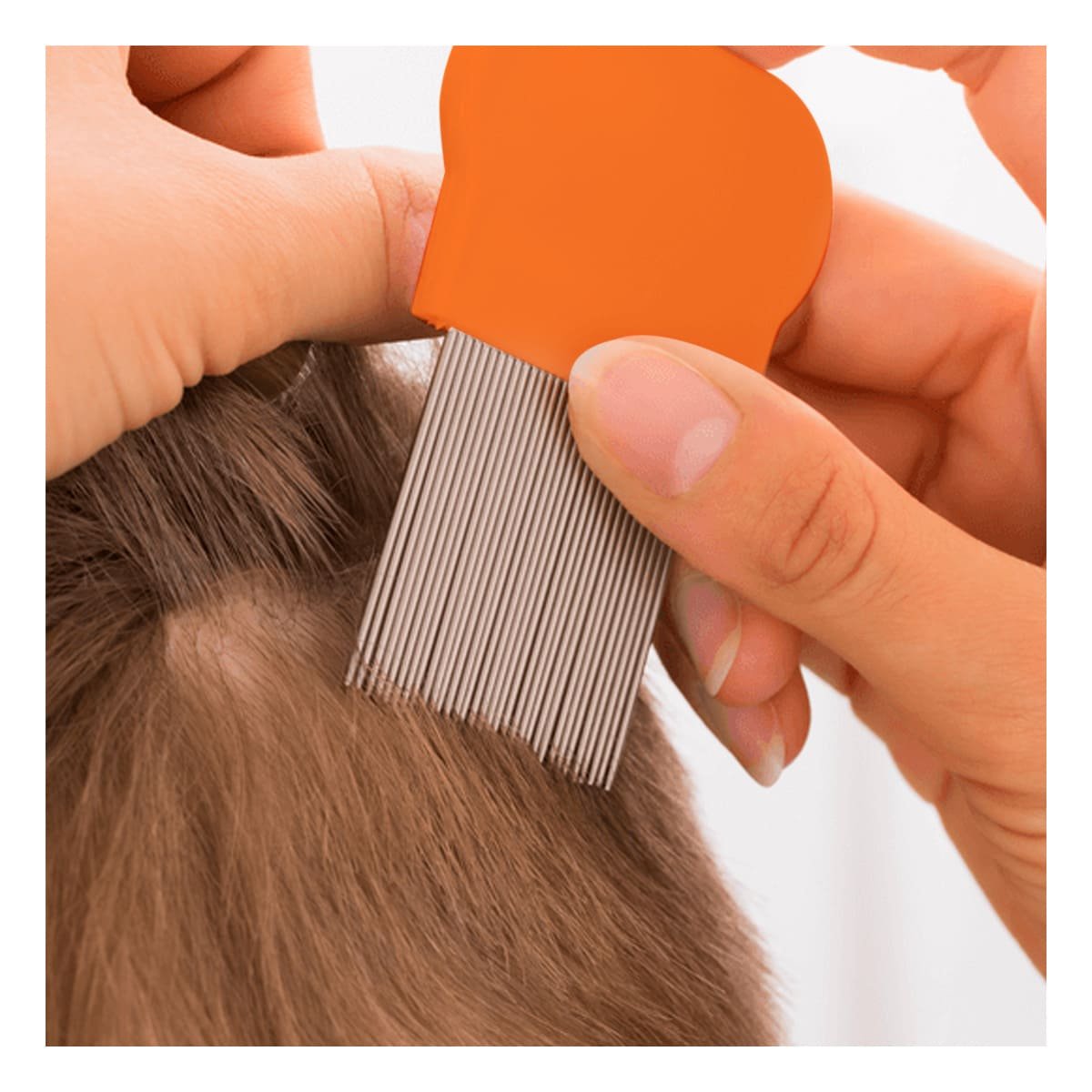 PACK12 PEINETA MANUAL NARANJA PARA PIOJOS Y LIENDRES SEGURA EN CASA Y+PAPEL REGALO - 3