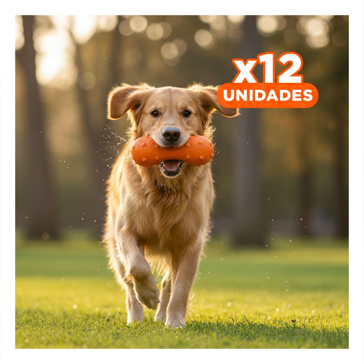PACK12 PIEZA PARA PERRO MANCUERNA DE PUAS NARANJA DURADERA - 1