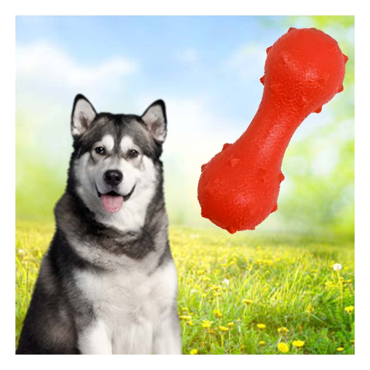 ELEMENTO DE JUEGO CON PUAS PARA PERRO ROJO RESISTENTE Y SEGURO AL MORDER - 2
