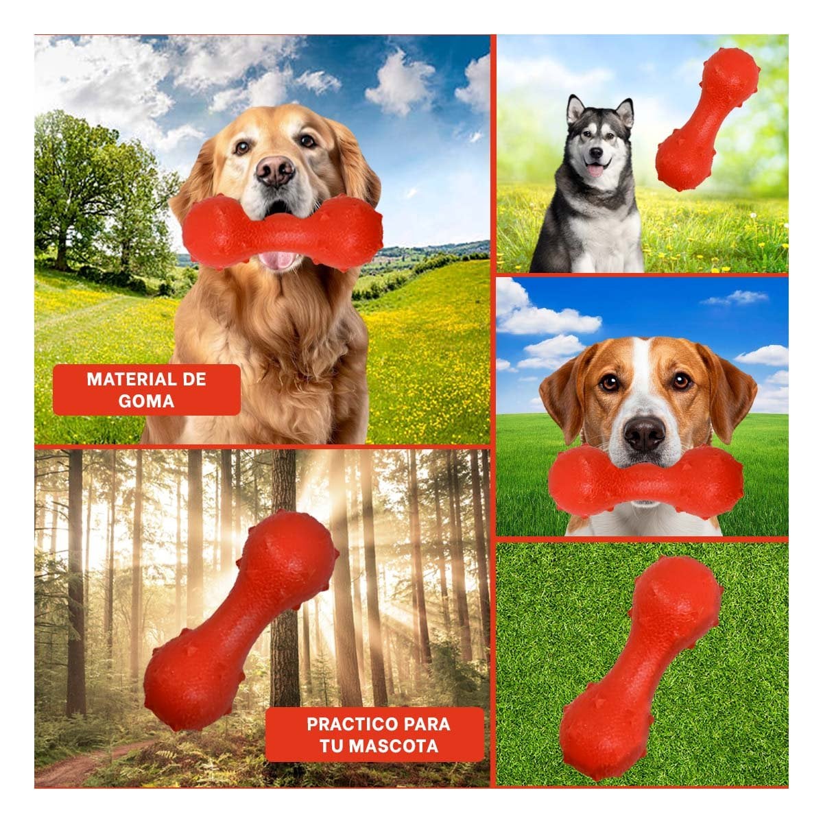 PACK4 ARTICULO RECREATIVO PARA MASCOTA ROJO CON PUAS RESISTENTES AL USO Y+REGALO STICKER - 2