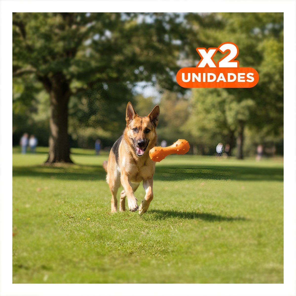 PACK2 ACCESORIO PARA MASCOTA MANCUERNA DE PUAS NARANJA RESISTENTE Y+REGALO STICKER - 1