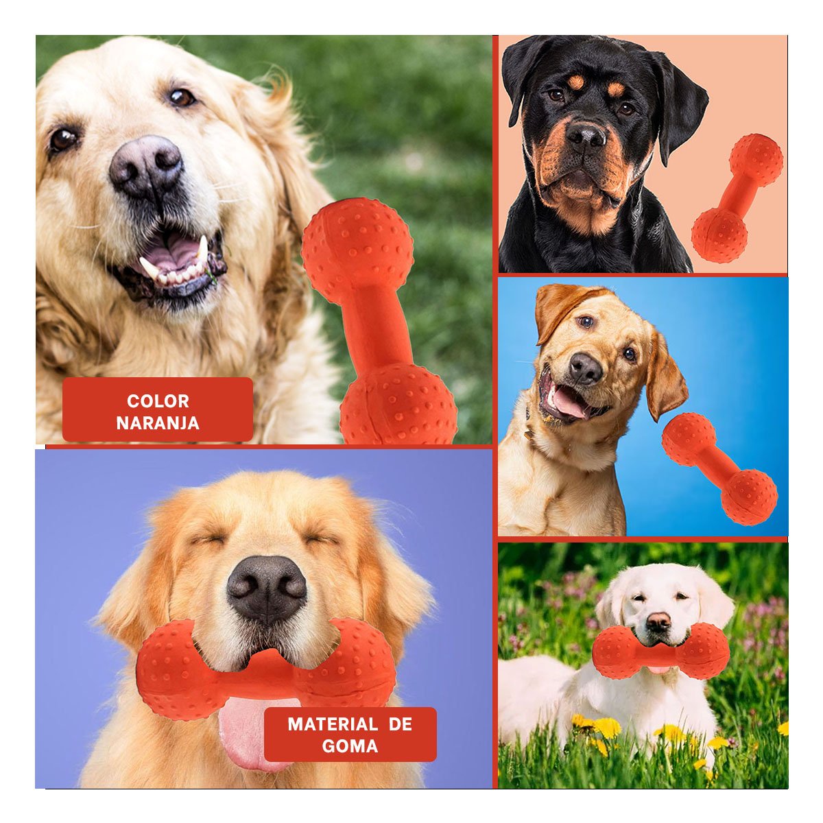 PELOTA MANCUERNA DE PUAS NARANJA PARA PERRO ACTIVO Y JUGUETON - 5
