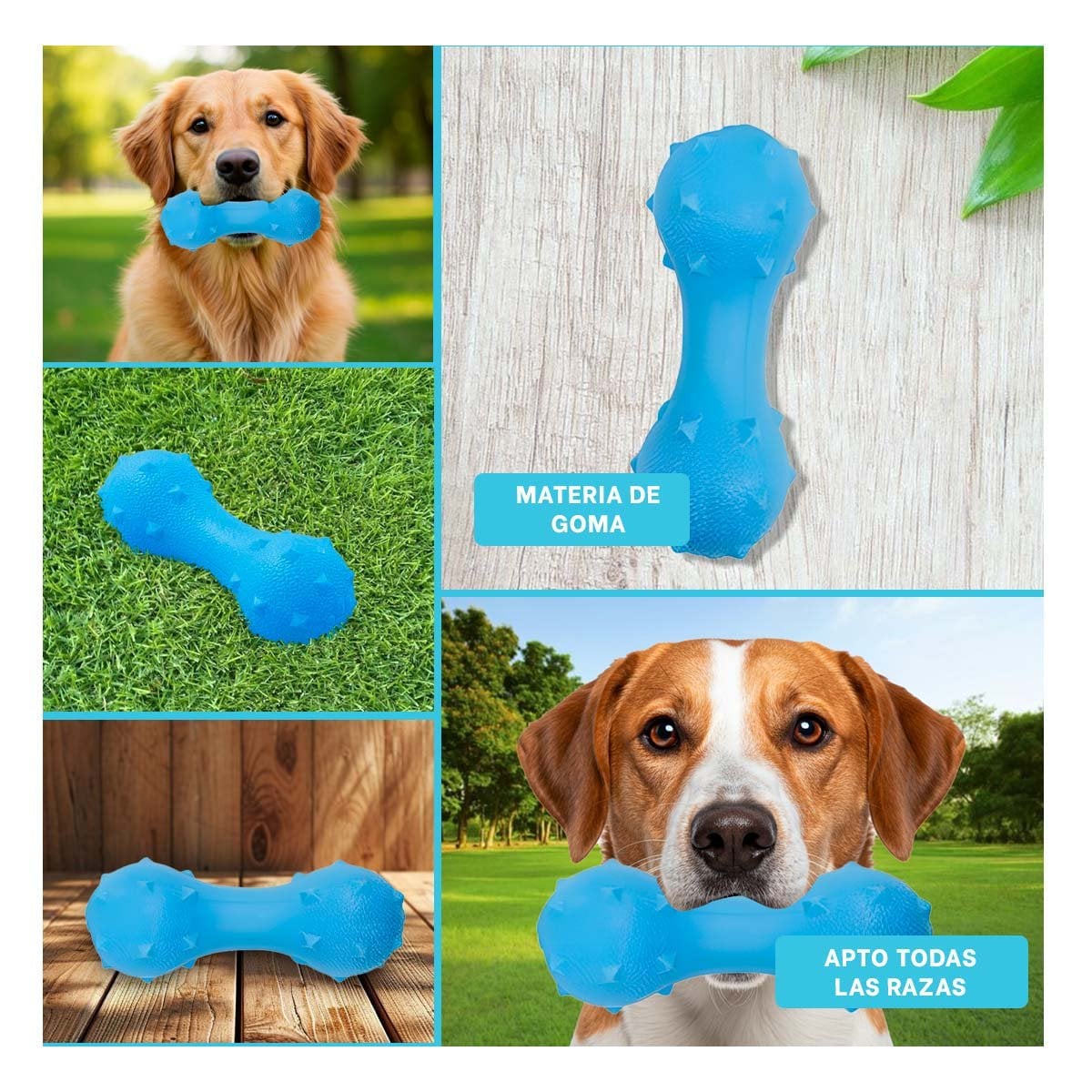 PACK2 ACCESORIO DE JUEGO PARA MASCOTA CELESTE TEXTURIZADO Y SEGURO Y+PAPEL REGALO - 3