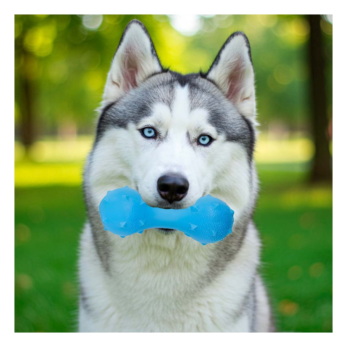 PACK2 ACCESORIO DE JUEGO PARA MASCOTA CELESTE TEXTURIZADO Y SEGURO Y+PAPEL REGALO - 5
