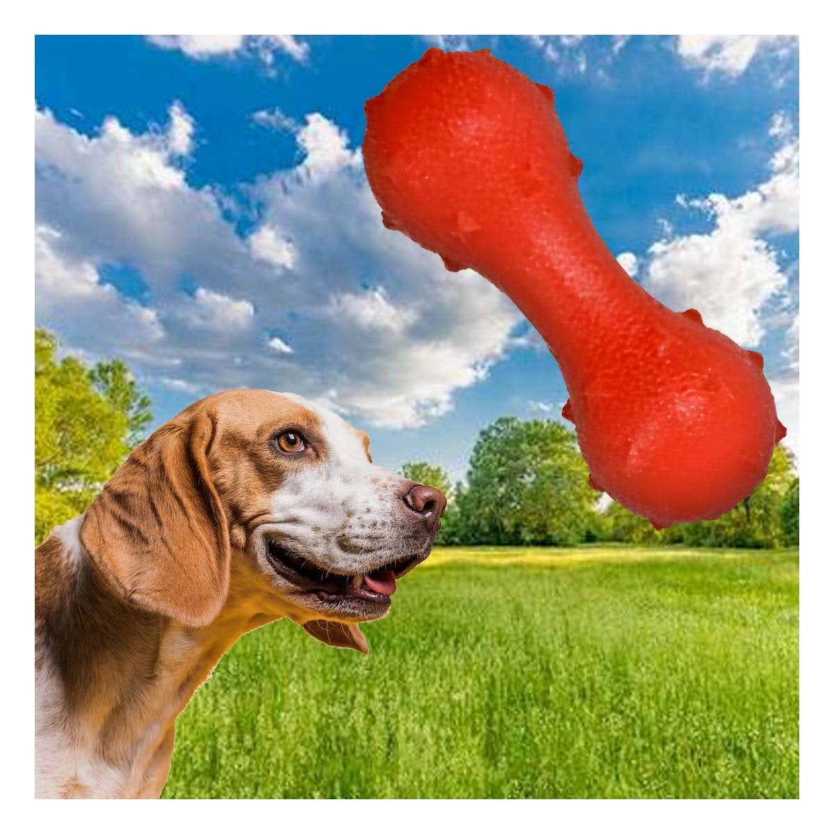 PACK6 PIEZA FUNCIONAL PARA PERRO ROJO TEXTURIZADA Y SEGURA PARA JUEGO - 3