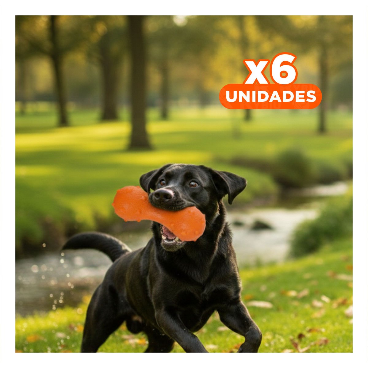 PACK6 PRODUCTO PARA MASCOTA MANCUERNA DE PUAS NARANJA FUERTE Y+REGALO STICKER - 1