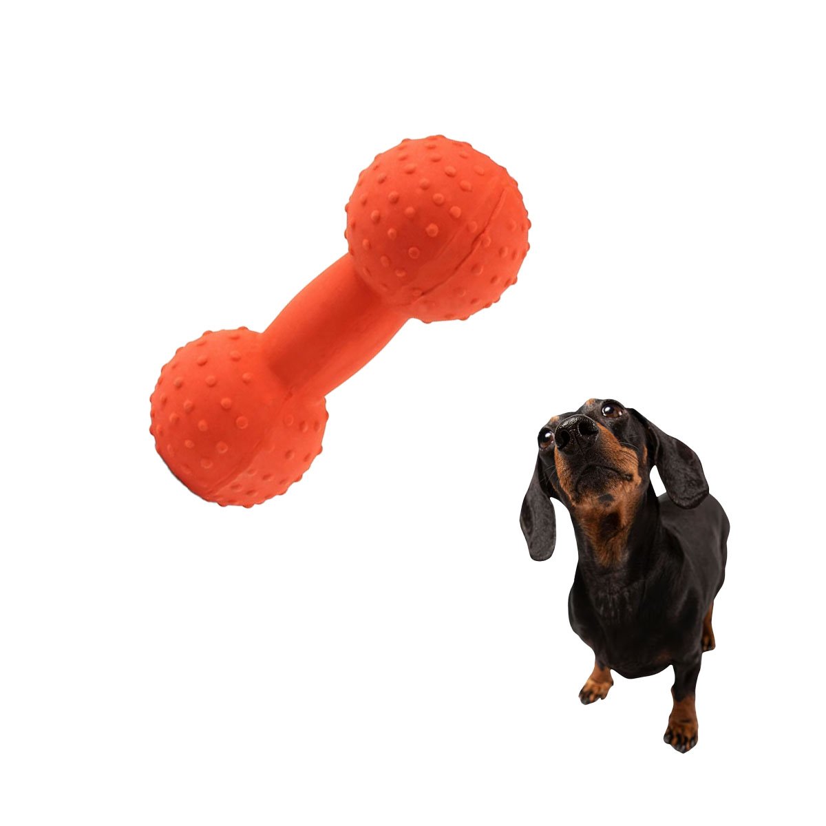 PACK6 PRODUCTO PARA MASCOTA MANCUERNA DE PUAS NARANJA FUERTE Y+REGALO STICKER - 2