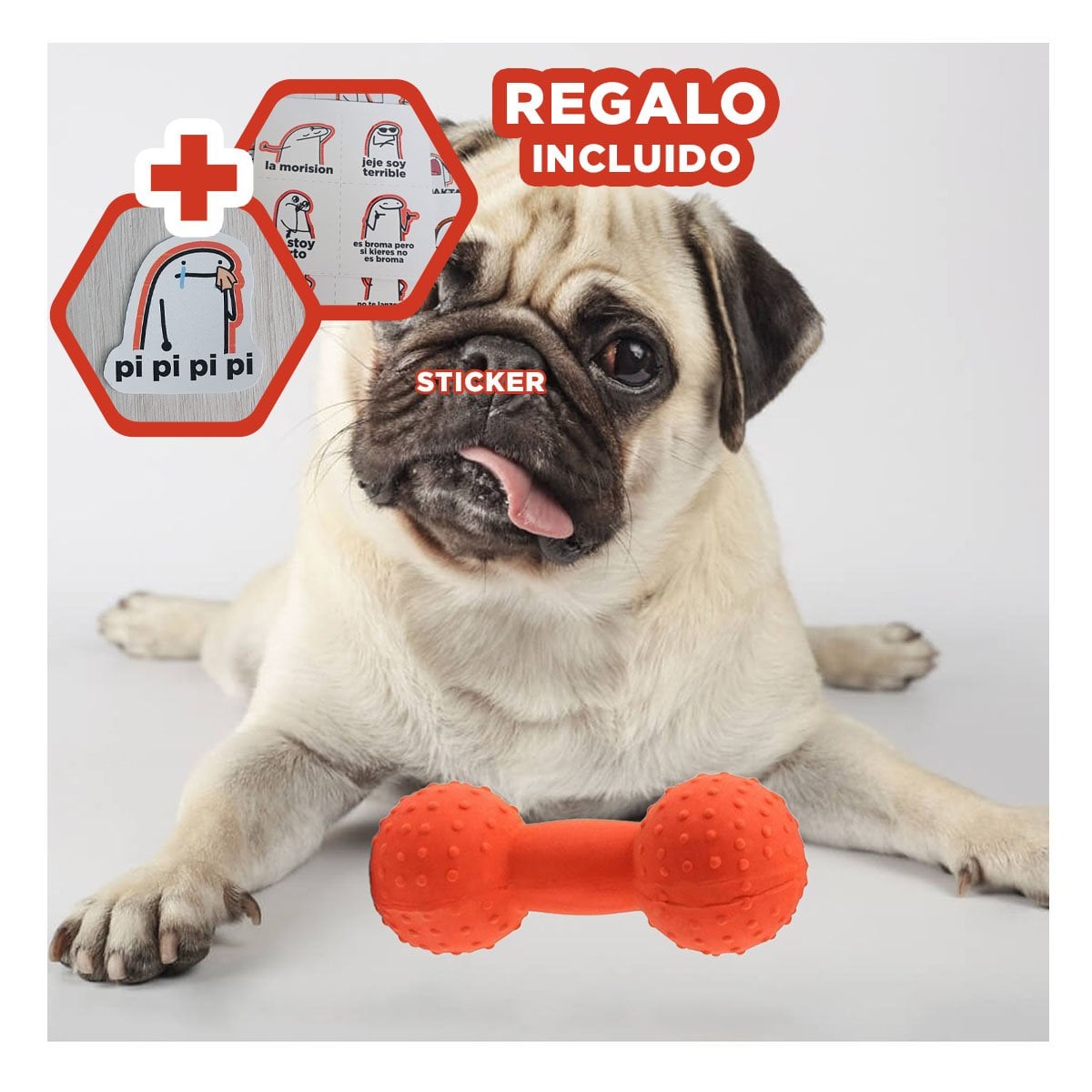 PRODUCTO MANCUERNA DE PUAS NARANJA PARA PERRO EN HOGAR Y+REGALO STICKER - 1