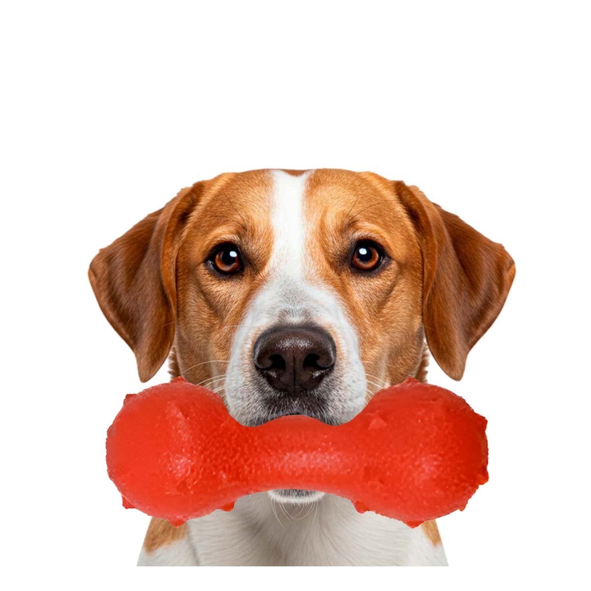 ACCESORIO DE ENTRENAMIENTO CON PUAS PARA PERRO ROJO RESISTENTE Y SEGURO Y+REGALO STICKER - 3