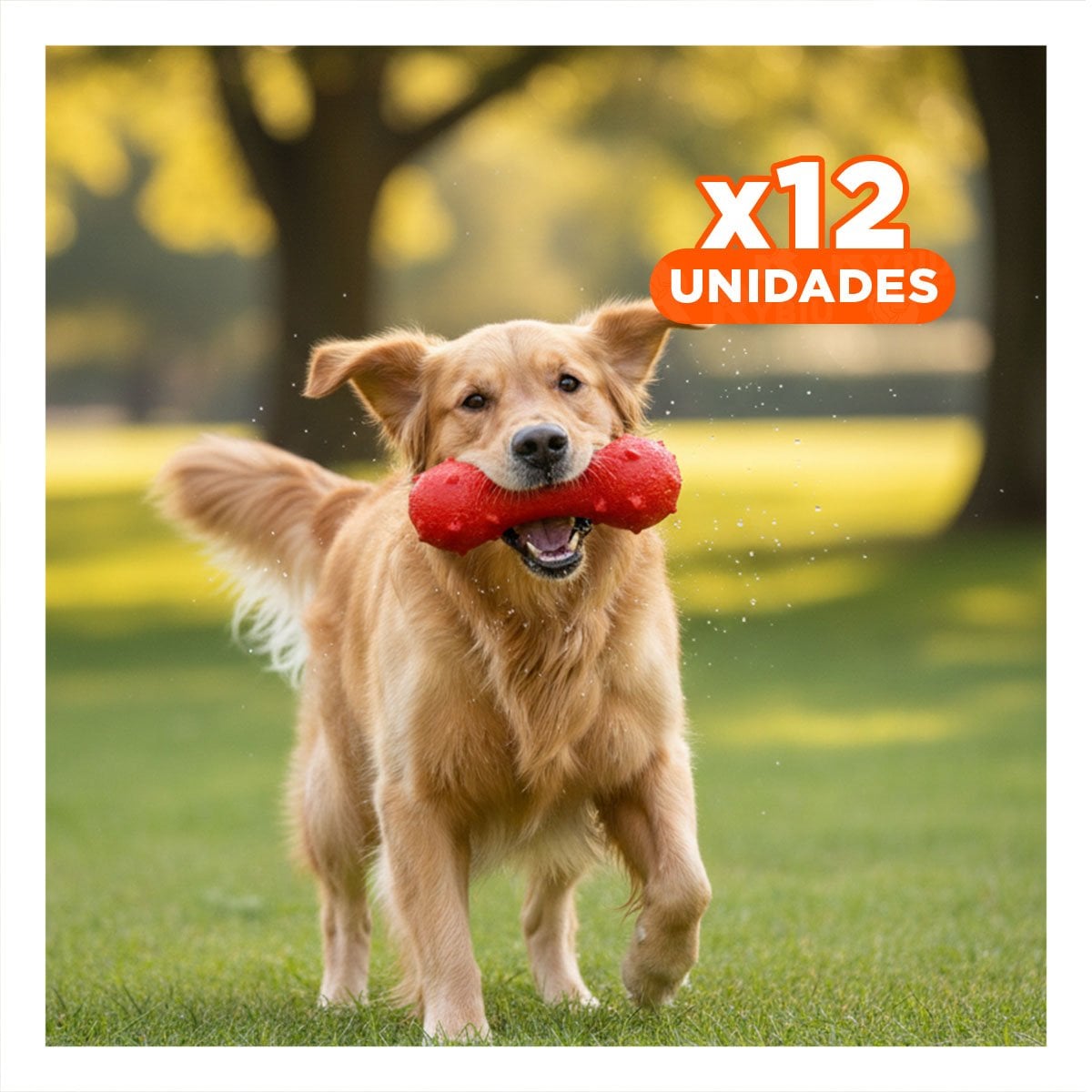 PACK12 JUGUETE RECREATIVO PARA MASCOTA ROJO DURADERO Y RESISTENTE AL USO - 1