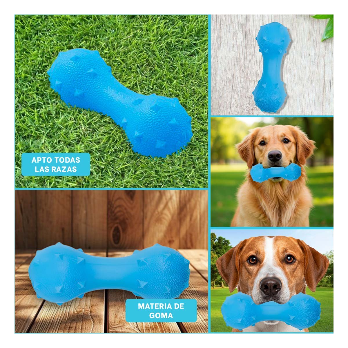 PACK4 ARTICULO RECREATIVO PARA MASCOTA CELESTE CON PUAS SEGURAS Y+REGALO STICKER - 2