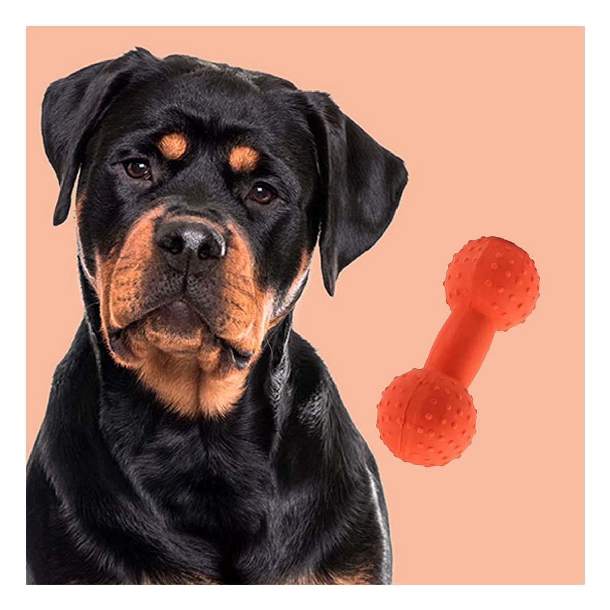 PACK2 OBJETO TEXTURIZADO MANCUERNA DE PUAS NARANJA PARA MASCOTA Y+PAPEL REGALO - 5