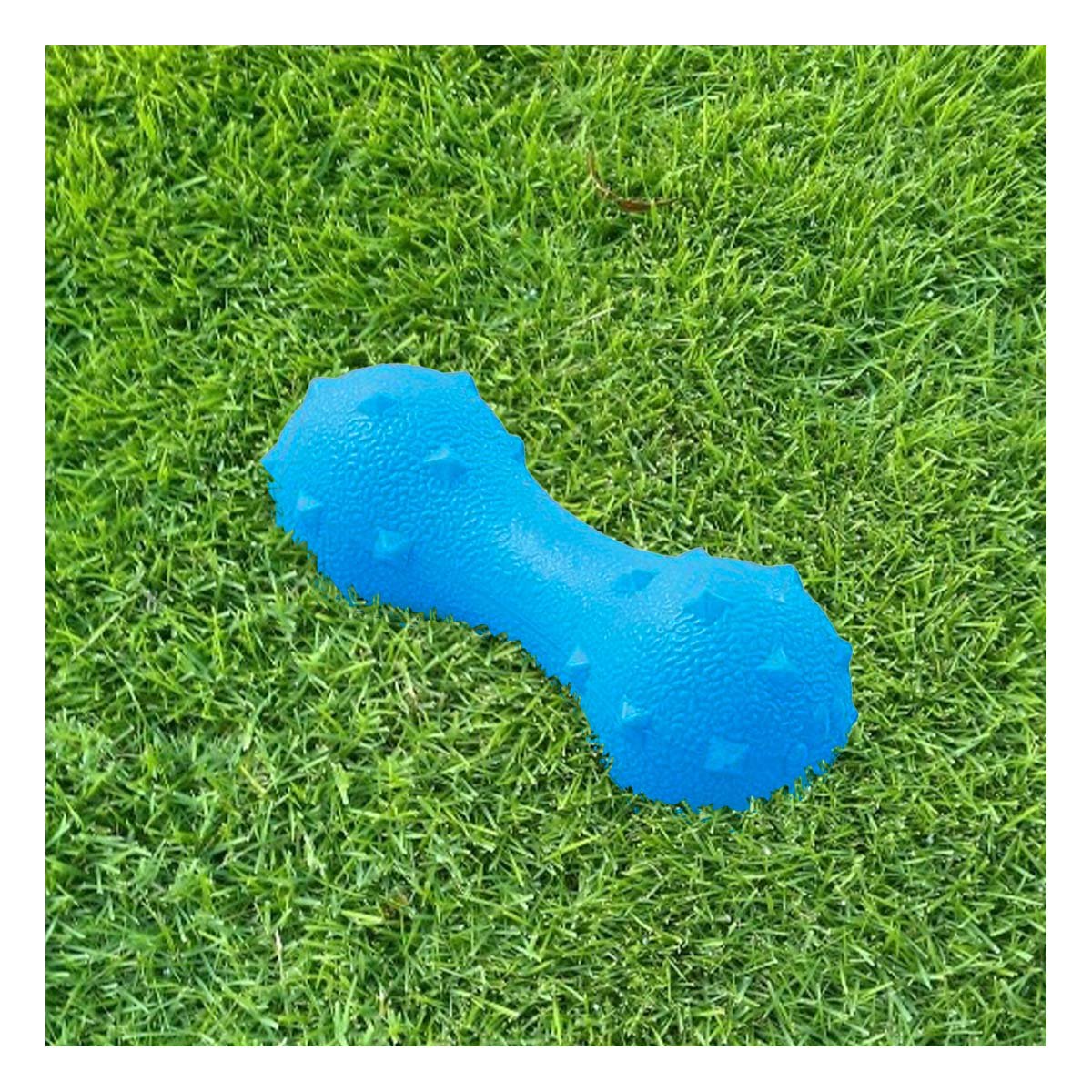 JUGUETE INTERACTIVO CON PUAS PARA MASCOTA CELESTE PARA ENTRENAMIENTO Y+PAPEL REGALO - 2
