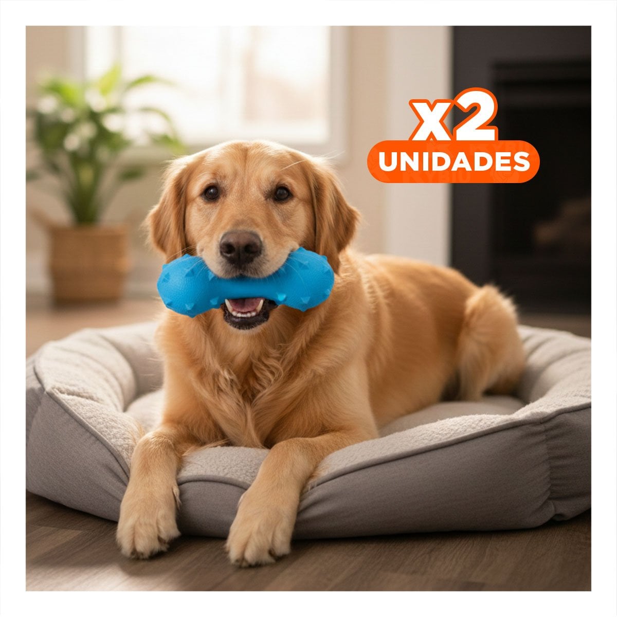 PACK2 JUGUETE DE DIVERSION PARA PERRO CELESTE CON PUAS RESISTENTES Y+REGALO STICKER - 1
