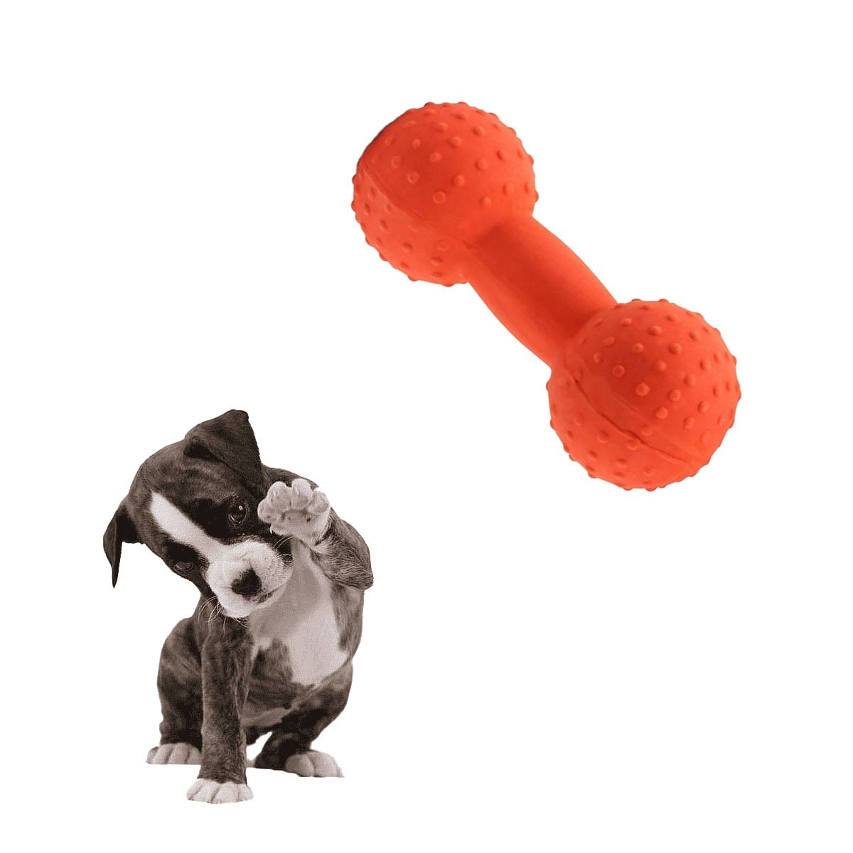 PACK4 MORDEDOR PARA MASCOTA MANCUERNA DE PUAS NARANJA FIRME Y+PAPEL REGALO - 3