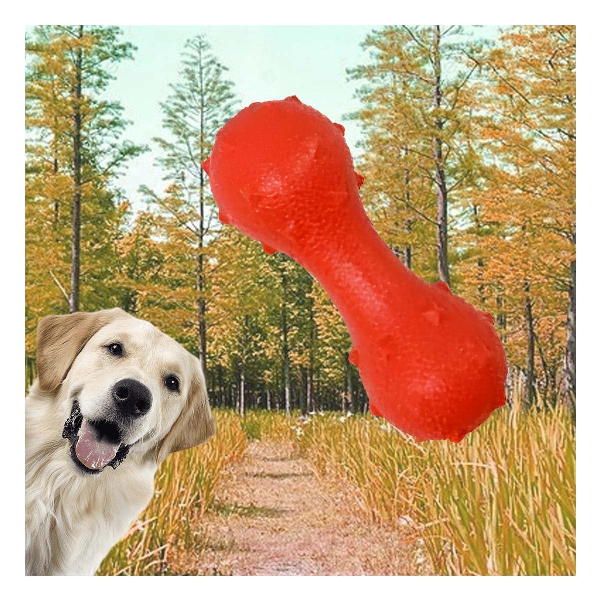 ARTICULO DE JUEGO TEXTURIZADO PARA PERRO ROJO FIRME Y DURADERO Y+POST IT - 2