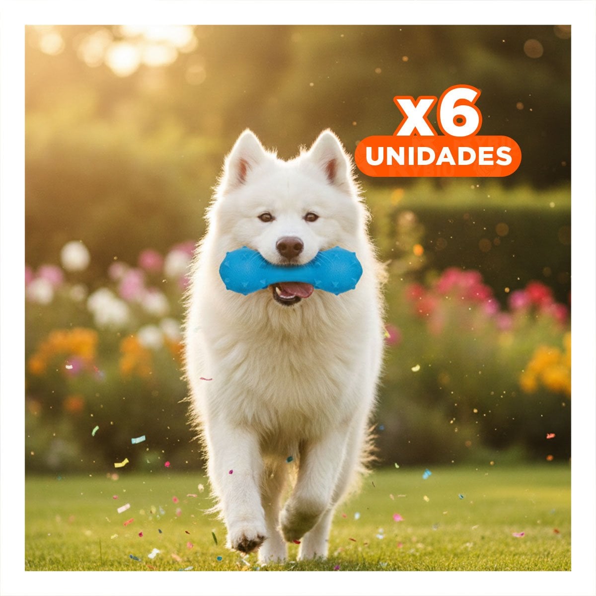 PACK6 ACCESORIO TEXTURIZADO PARA PERRO CELESTE CON PUAS FIRMES Y+REGALO STICKER - 1