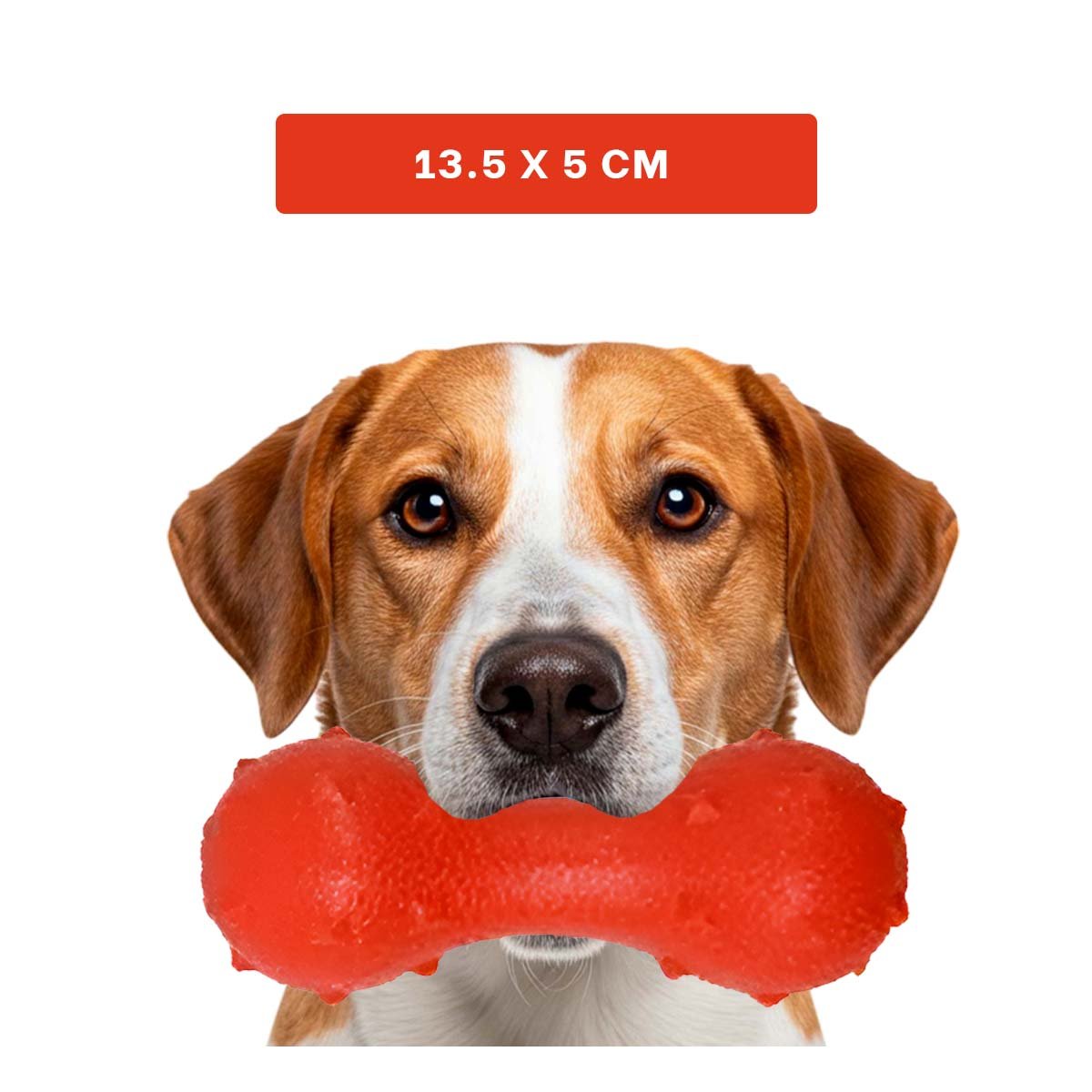 PACK2 ACCESORIO DE JUEGO PARA MASCOTA ROJO TEXTURIZADO Y FIRME AL USO DIARIO Y+PAPEL REGALO - 4
