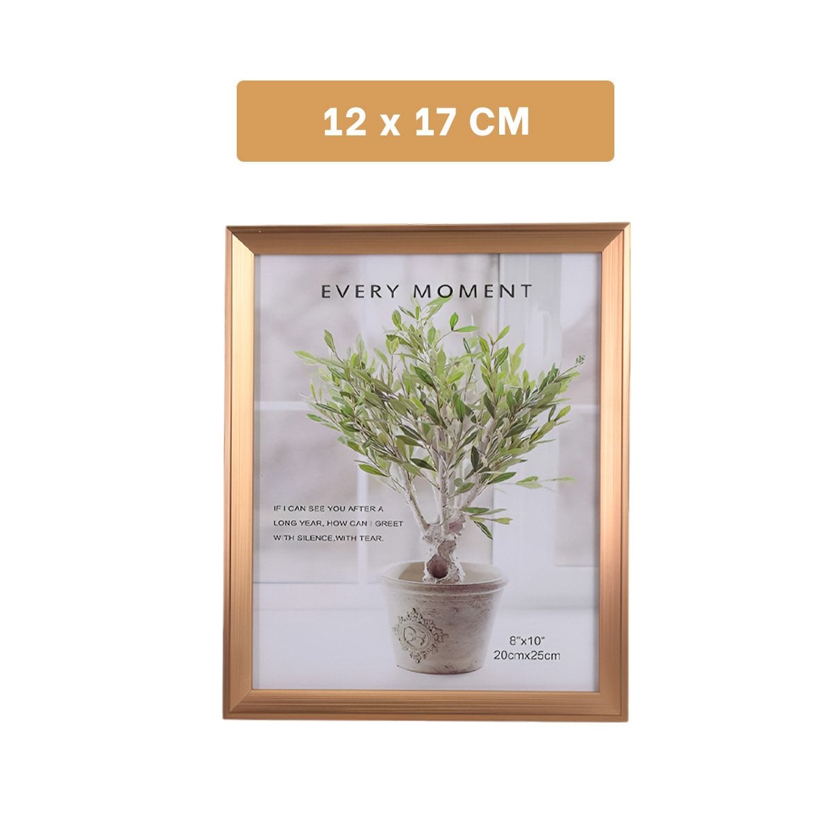 PACK4 SOPORTE PARA FOTOGRAFIA CON ESTILO ELEGANTE QUE REALZA LA IMAGEN Y+REGALO STICKER - 4