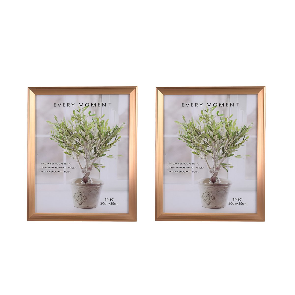 EXHIBIDOR PARA FOTOGRAFIAS QUE PERMITE ORGANIZAR RECUERDOS EN CASA CON ESTILO Y+LIGAS REGALO - 3