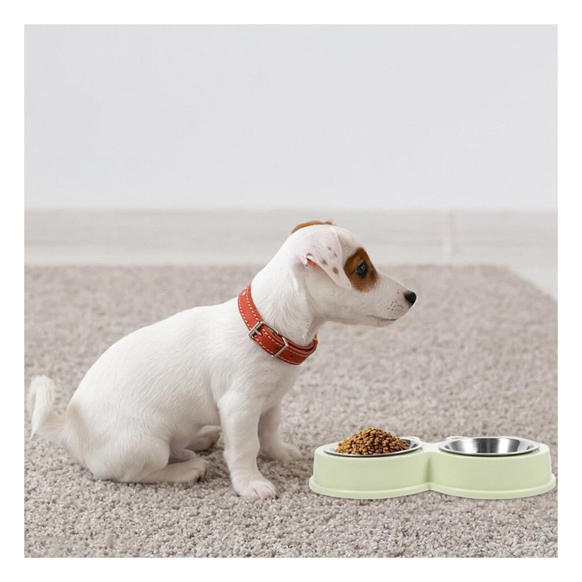 SOPORTE PLATO DOBLE DESMONTABLE RANA PARA ALIMENTACION DE MASCOTA Y+REGALO STICKER - 5