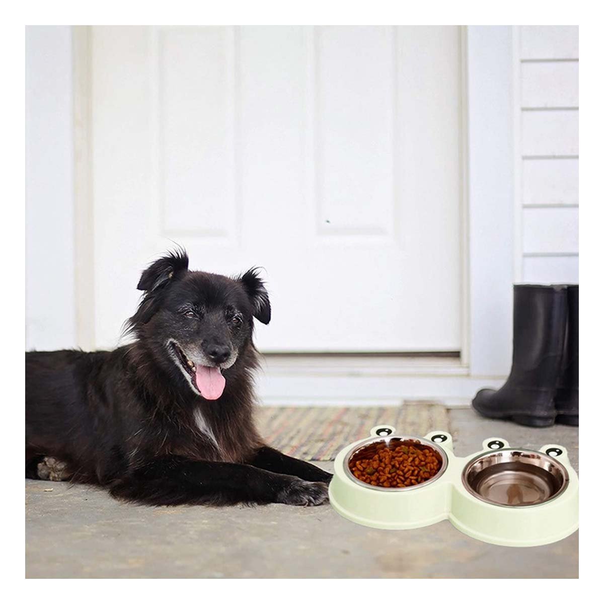 PACK12 KIT DOBLE DESMONTABLE RANA PARA MASCOTA FUNCIONAL Y+REGALO STICKER - 3