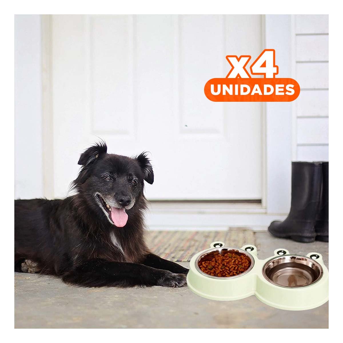 PACK4 EQUIPO DOBLE DESMONTABLE RANA PARA MASCOTA PRACTICO - 1