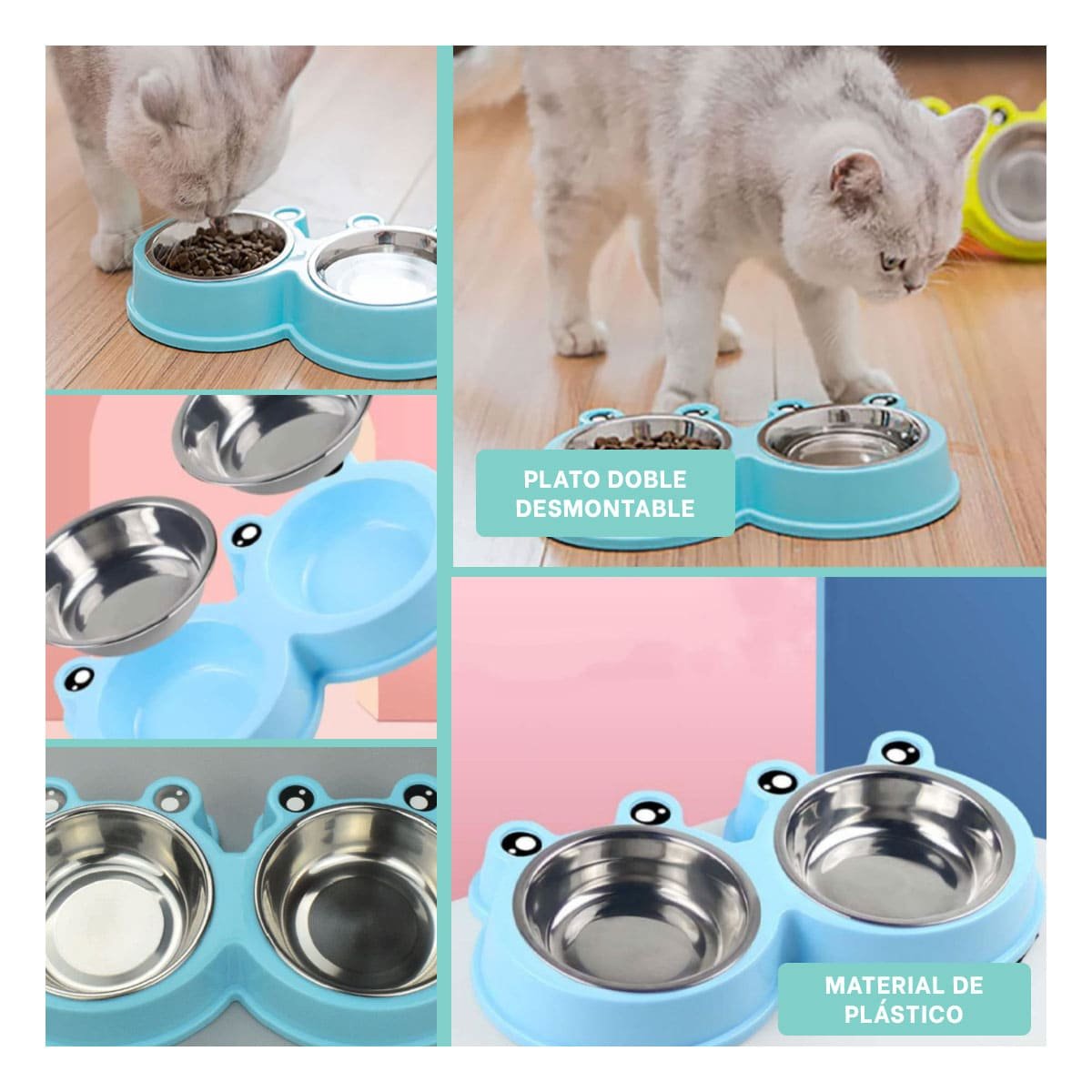 KIT PLATO DOBLE DESMONTABLE RANA PARA MASCOTA USO DIARIO Y+POST IT - 1