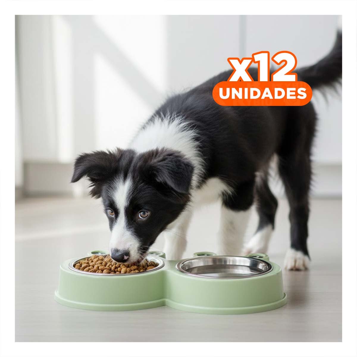 PACK12 ESTACION DOBLE DESMONTABLE RANA PARA MASCOTA PRACTICA - 1